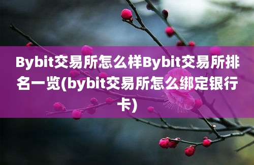 Bybit交易所怎么样Bybit交易所排名一览(bybit交易所怎么绑定银行卡)