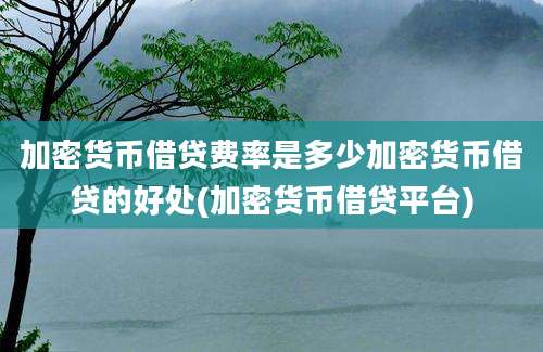 加密货币借贷费率是多少加密货币借贷的好处(加密货币借贷平台)