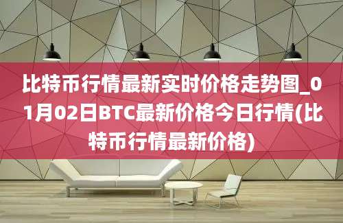 比特币行情最新实时价格走势图_01月02日BTC最新价格今日行情(比特币行情最新价格)