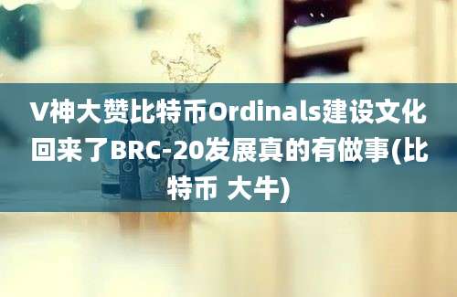 V神大赞比特币Ordinals建设文化回来了BRC-20发展真的有做事(比特币 大牛)