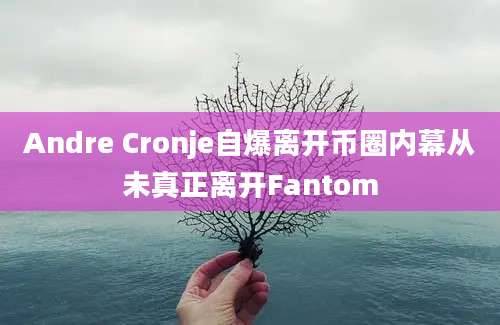 Andre Cronje自爆离开币圈内幕从未真正离开Fantom