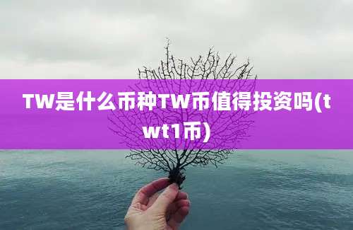 TW是什么币种TW币值得投资吗(twt1币)