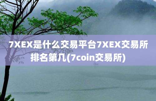 7XEX是什么交易平台7XEX交易所排名第几(7coin交易所)