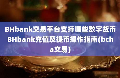 BHbank交易平台支持哪些数字货币BHbank充值及提币操作指南(bcha交易)