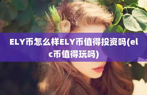 ELY币怎么样ELY币值得投资吗(elc币值得玩吗)