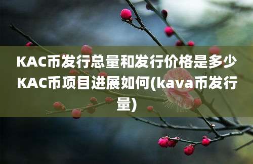 KAC币发行总量和发行价格是多少KAC币项目进展如何(kava币发行量)