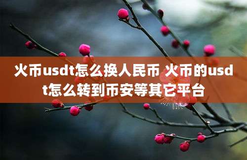 火币usdt怎么换人民币 火币的usdt怎么转到币安等其它平台