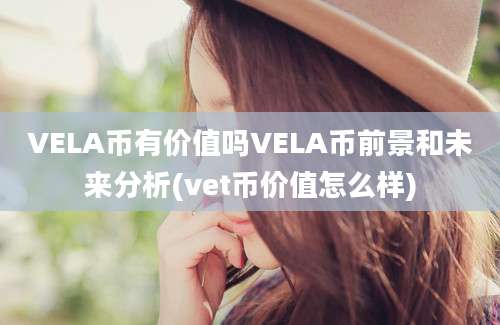 VELA币有价值吗VELA币前景和未来分析(vet币价值怎么样)