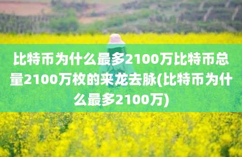 比特币为什么最多2100万比特币总量2100万枚的来龙去脉(比特币为什么最多2100万)