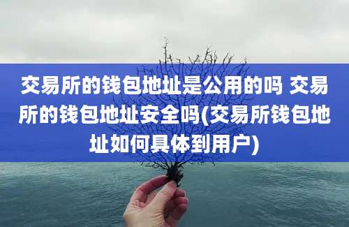 交易所的钱包地址是公用的吗 交易所的钱包地址安全吗(交易所钱包地址如何具体到用户)