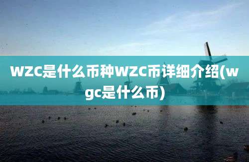 WZC是什么币种WZC币详细介绍(wgc是什么币)