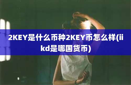 2KEY是什么币种2KEY币怎么样(iikd是哪国货币)