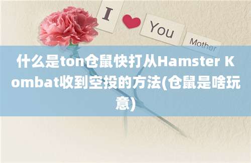 什么是ton仓鼠快打从Hamster Kombat收到空投的方法(仓鼠是啥玩意)