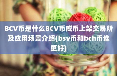 BCV币是什么BCV币威币上架交易所及应用场景介绍(bsv币和bch币谁更好)