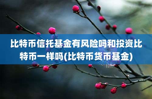 比特币信托基金有风险吗和投资比特币一样吗(比特币货币基金)