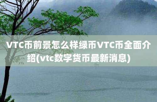 VTC币前景怎么样绿币VTC币全面介绍(vtc数字货币最新消息)