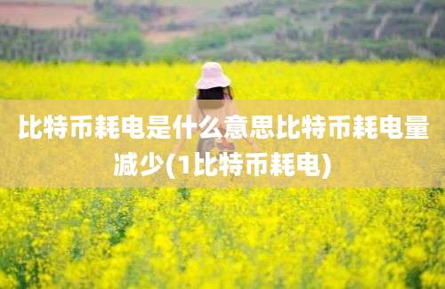 比特币耗电是什么意思比特币耗电量减少(1比特币耗电)