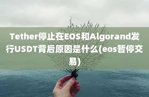 Tether停止在EOS和Algorand发行USDT背后原因是什么(eos暂停交易)