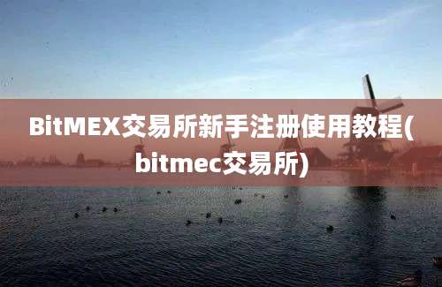 BitMEX交易所新手注册使用教程(bitmec交易所)