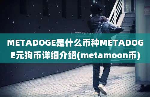 METADOGE是什么币种METADOGE元狗币详细介绍(metamoon币)