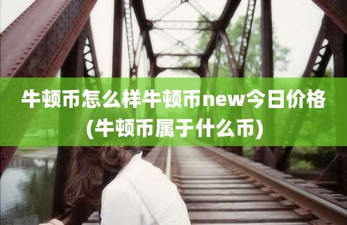 牛顿币怎么样牛顿币new今日价格(牛顿币属于什么币)