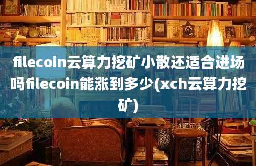 filecoin云算力挖矿小散还适合进场吗filecoin能涨到多少(xch云算力挖矿)