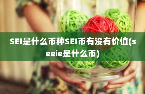 SEI是什么币种SEI币有没有价值(seeie是什么币)