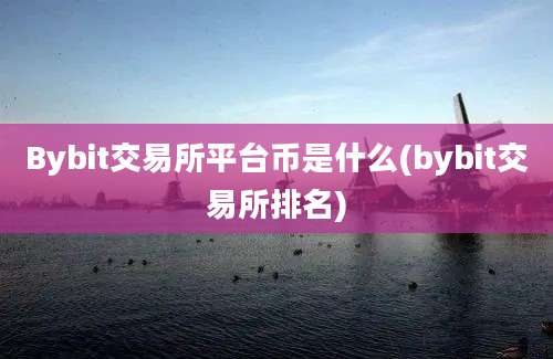 Bybit交易所平台币是什么(bybit交易所排名)