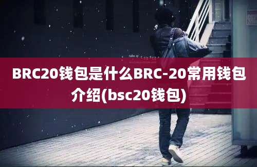 BRC20钱包是什么BRC-20常用钱包介绍(bsc20钱包)