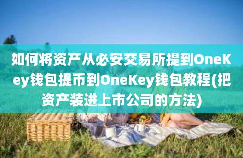 如何将资产从必安交易所提到OneKey钱包提币到OneKey钱包教程(把资产装进上市公司的方法)