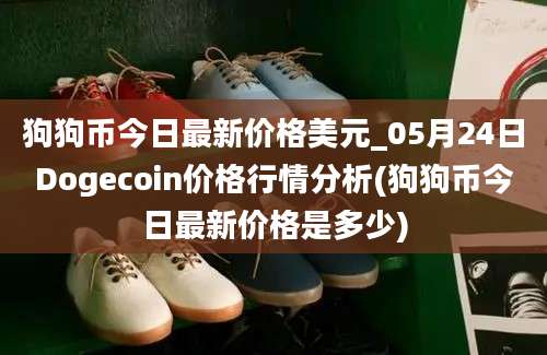 狗狗币今日最新价格美元_05月24日Dogecoin价格行情分析(狗狗币今日最新价格是多少)