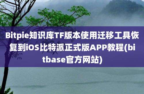 Bitpie知识库TF版本使用迁移工具恢复到iOS比特派正式版APP教程(bitbase官方网站)