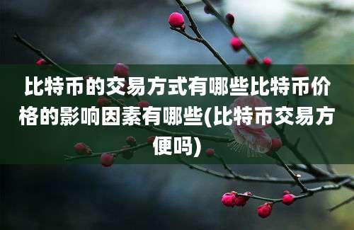 比特币的交易方式有哪些比特币价格的影响因素有哪些(比特币交易方便吗)