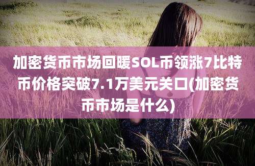 加密货币市场回暖SOL币领涨7比特币价格突破7.1万美元关口(加密货币市场是什么)