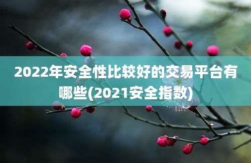 2022年安全性比较好的交易平台有哪些(2021安全指数)