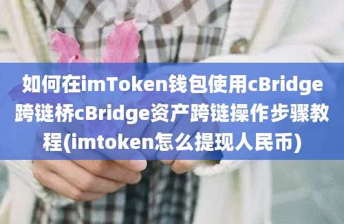 如何在imToken钱包使用cBridge跨链桥cBridge资产跨链操作步骤教程(imtoken怎么提现人民币)