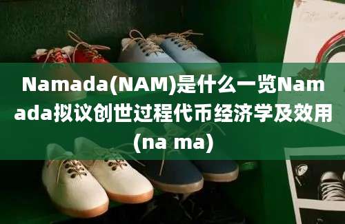 Namada(NAM)是什么一览Namada拟议创世过程代币经济学及效用(na ma)