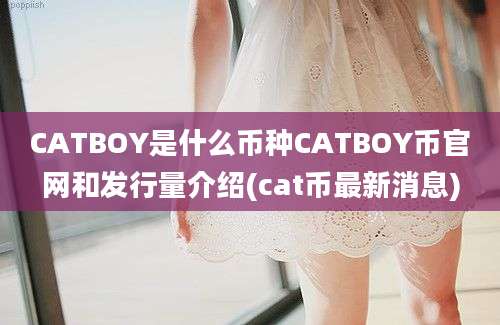 CATBOY是什么币种CATBOY币官网和发行量介绍(cat币最新消息)