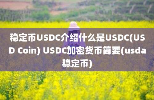 稳定币USDC介绍什么是USDC(USD Coin) USDC加密货币简要(usda稳定币)