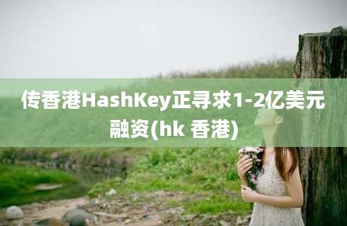 传香港HashKey正寻求1-2亿美元融资(hk 香港)