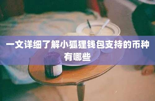 一文详细了解小狐狸钱包支持的币种有哪些