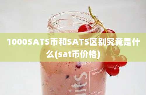 1000SATS币和SATS区别究竟是什么(sat币价格)