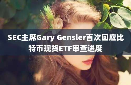 SEC主席Gary Gensler首次回应比特币现货ETF审查进度