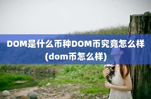 DOM是什么币种DOM币究竟怎么样(dom币怎么样)