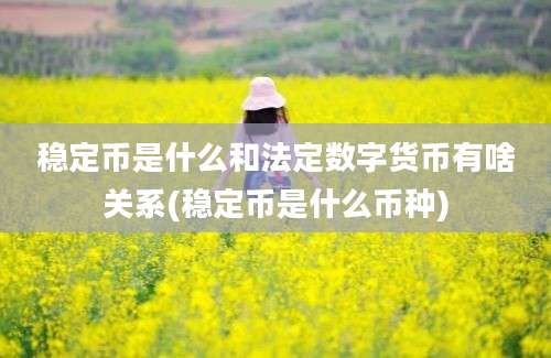 稳定币是什么和法定数字货币有啥关系(稳定币是什么币种)