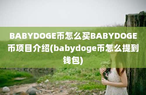 BABYDOGE币怎么买BABYDOGE币项目介绍(babydoge币怎么提到钱包)