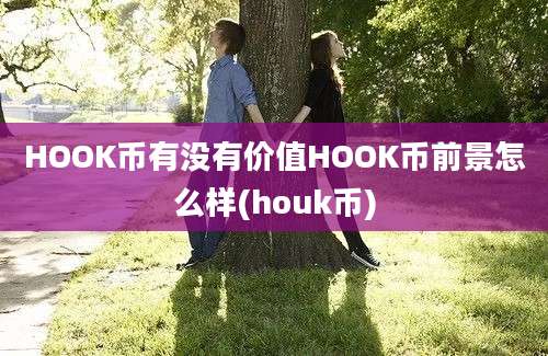 HOOK币有没有价值HOOK币前景怎么样(houk币)