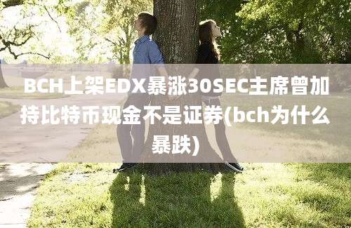 BCH上架EDX暴涨30SEC主席曾加持比特币现金不是证券(bch为什么暴跌)