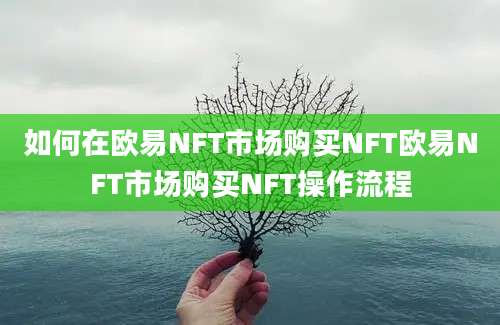 如何在欧易NFT市场购买NFT欧易NFT市场购买NFT操作流程