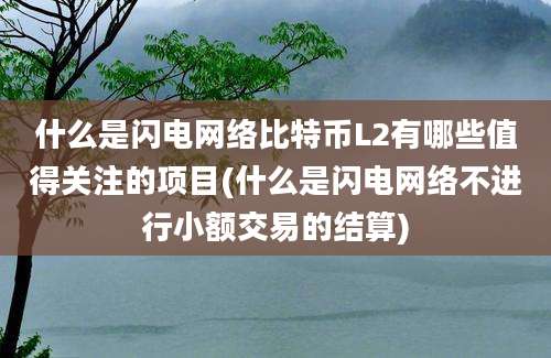 什么是闪电网络比特币L2有哪些值得关注的项目(什么是闪电网络不进行小额交易的结算)